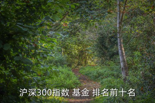 滬深300指數(shù) 基金 排名前十名