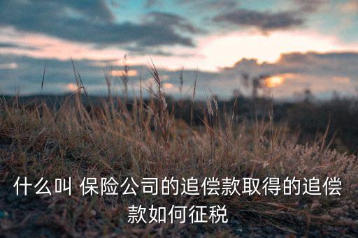 什么叫 保險(xiǎn)公司的追償款取得的追償款如何征稅