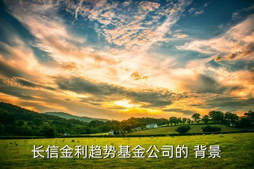 長(zhǎng)信金利趨勢(shì)基金公司的 背景