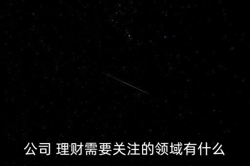 公司 理財需要關注的領域有什么