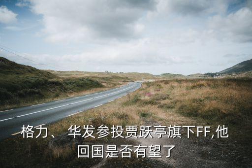 格力、 華發(fā)參投賈躍亭旗下FF,他回國是否有望了