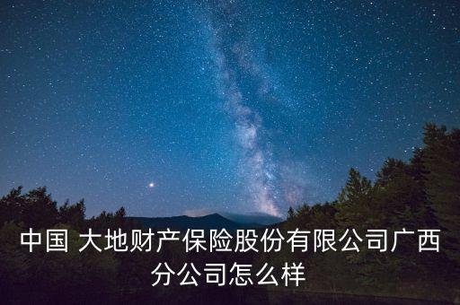 中國 大地財產(chǎn)保險股份有限公司廣西分公司怎么樣