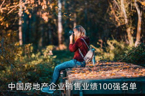 中國(guó)房地產(chǎn)企業(yè)銷售業(yè)績(jī)100強(qiáng)名單