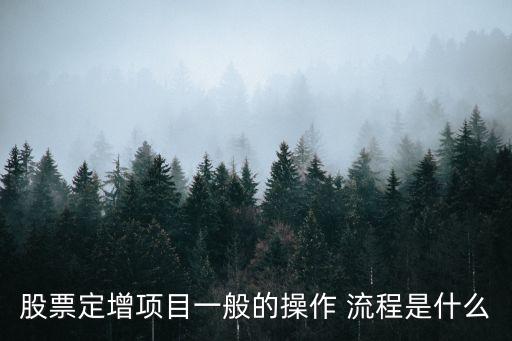 股票定增項(xiàng)目一般的操作 流程是什么