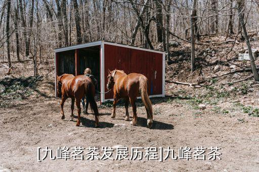 [九峰茗茶發(fā)展歷程]九峰茗茶