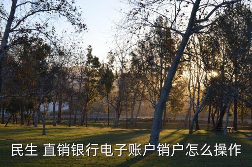 民生 直銷(xiāo)銀行電子賬戶銷(xiāo)戶怎么操作