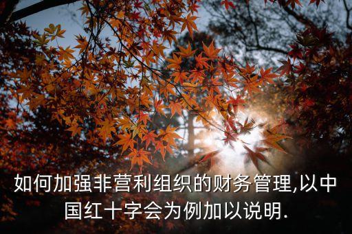 如何加強(qiáng)非營利組織的財務(wù)管理,以中國紅十字會為例加以說明.