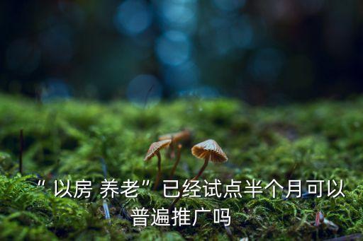 “ 以房 養(yǎng)老”已經(jīng)試點(diǎn)半個(gè)月可以普遍推廣嗎