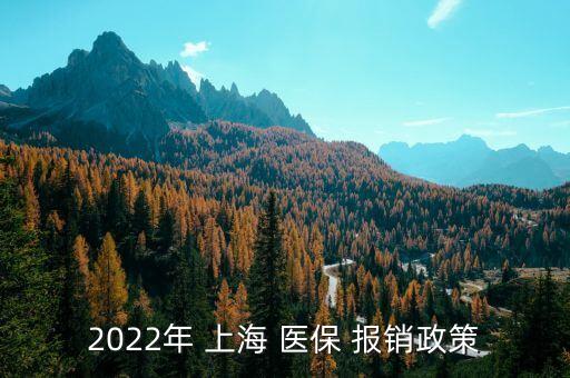 2022年 上海 醫(yī)保 報(bào)銷政策