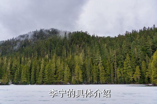 李寧公司的戰(zhàn)略業(yè)務(wù)單位,李寧業(yè)務(wù)層戰(zhàn)略分析