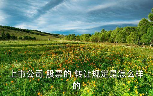 上市公司 股票的 轉(zhuǎn)讓規(guī)定是怎么樣的