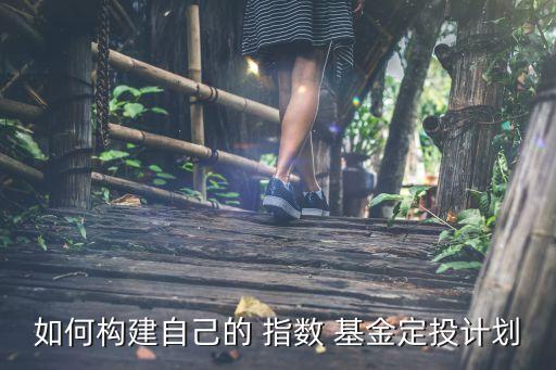 如何構建自己的 指數(shù) 基金定投計劃