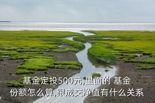  基金定投500元,里面的 基金 份額怎么算,跟成交凈值有什么關(guān)系