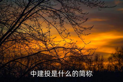 中建投是什么的簡(jiǎn)稱(chēng)