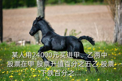 某人用24000元買進(jìn)甲、乙兩中 股票在甲 股票升值百分之五乙 股票下跌百分之...