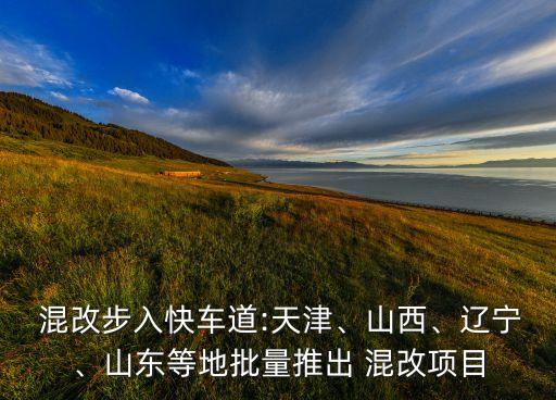  混改步入快車道:天津、山西、遼寧、山東等地批量推出 混改項目