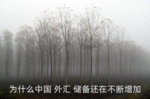 為什么中國 外匯 儲(chǔ)備還在不斷增加