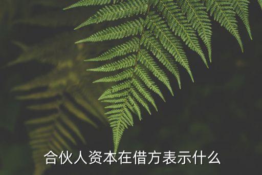 合伙投資追加投資