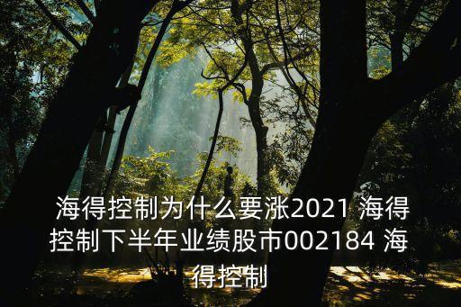  海得控制為什么要漲2021 海得控制下半年業(yè)績(jī)股市002184 海得控制