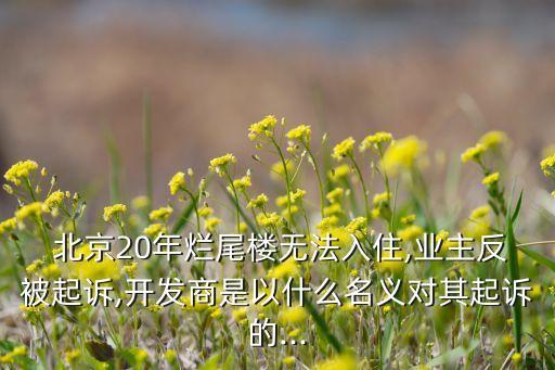  北京20年爛尾樓無法入住,業(yè)主反被起訴,開發(fā)商是以什么名義對其起訴的...