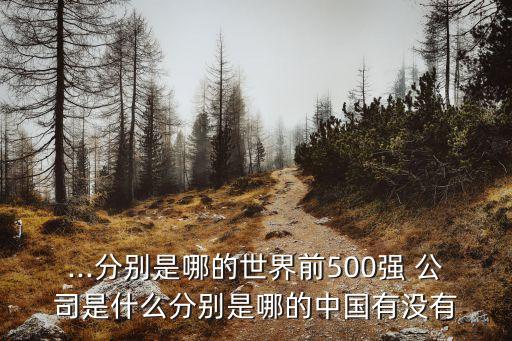 ...分別是哪的世界前500強 公司是什么分別是哪的中國有沒有