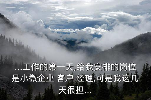 ...工作的第一天,給我安排的崗位是小微企業(yè) 客戶 經(jīng)理,可是我這幾天很擔(dān)...