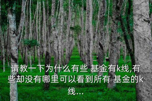 請(qǐng)教一下為什么有些 基金有k線,有些卻沒(méi)有哪里可以看到所有 基金的k線...