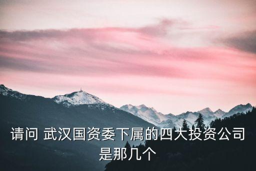 請(qǐng)問(wèn) 武漢國(guó)資委下屬的四大投資公司是那幾個(gè)