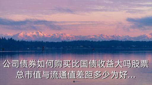 公司債券如何購買比國債收益大嗎股票總市值與流通值差距多少為好...