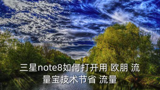 三星note8如何打開用 歐朋 流量寶技術(shù)節(jié)省 流量