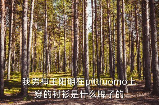 我男神王陽明在pittiuomo上穿的襯衫是什么牌子的