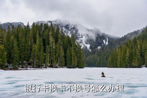  銀行卡換卡不換號(hào)怎么辦理