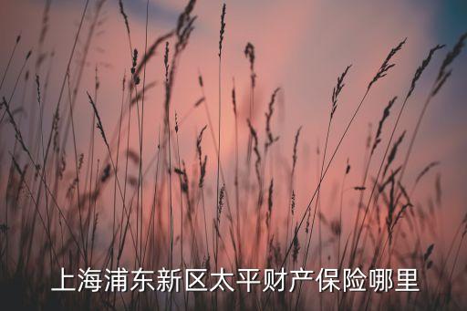  上海浦東新區(qū)太平財(cái)產(chǎn)保險(xiǎn)哪里