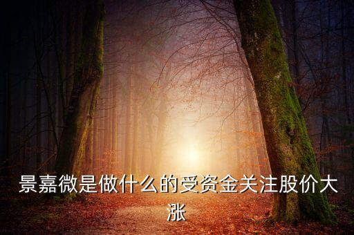 長(zhǎng)沙景嘉電子有限公司