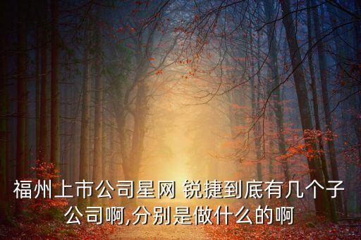 福州上市公司星網(wǎng) 銳捷到底有幾個子公司啊,分別是做什么的啊