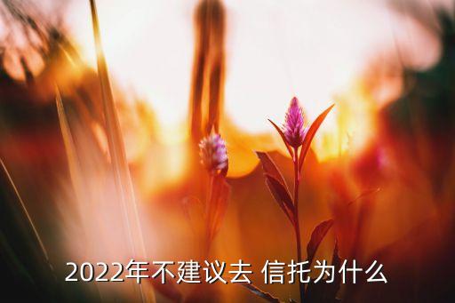 2022年不建議去 信托為什么