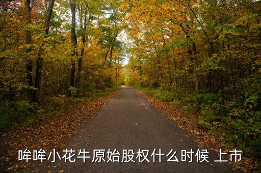 哞哞小花牛原始股權(quán)什么時候 上市