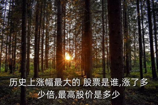 山東鋼鐵股票歷史最高什么價錢,重慶鋼鐵股票歷史最高價格