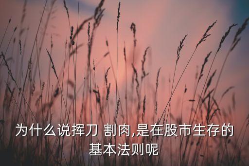 股票割肉留一手,股票為什么要留一手不清倉(cāng)