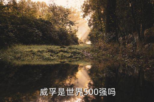  威孚是世界500強嗎