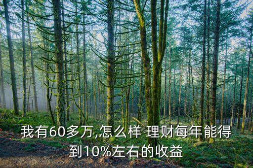 我有60多萬,怎么樣 理財(cái)每年能得到10%左右的收益