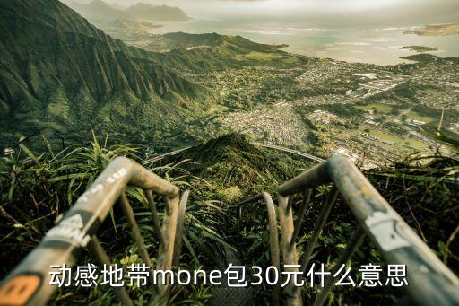 動(dòng)感地帶mone包30元什么意思