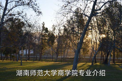 湖南師范大學商學院專業(yè)介紹