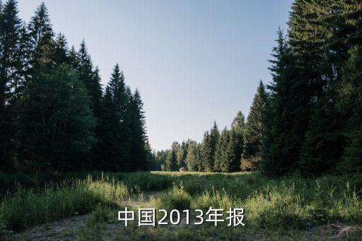 雀巢中國2013年報