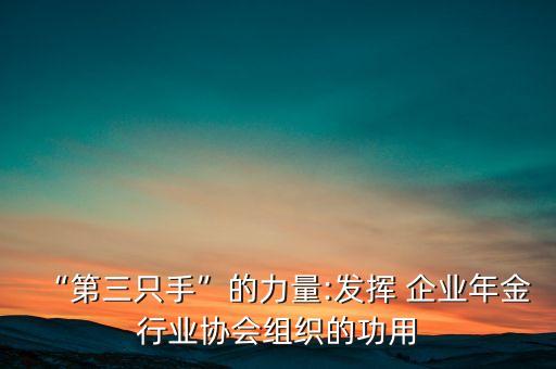 “第三只手”的力量:發(fā)揮 企業(yè)年金行業(yè)協(xié)會組織的功用