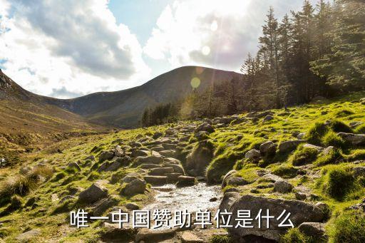 中國(guó)英利破產(chǎn)重組,英利能源有破產(chǎn)重組過(guò)嗎