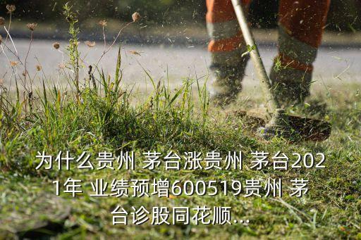 為什么貴州 茅臺漲貴州 茅臺2021年 業(yè)績預(yù)增600519貴州 茅臺診股同花順...