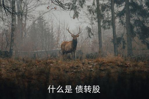 公司債轉(zhuǎn)股如何操作,新債轉(zhuǎn)股怎么操作的