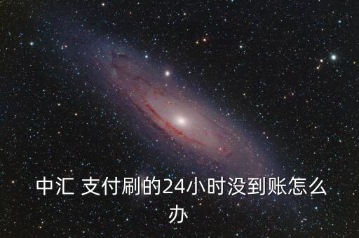  中匯 支付刷的24小時沒到賬怎么辦