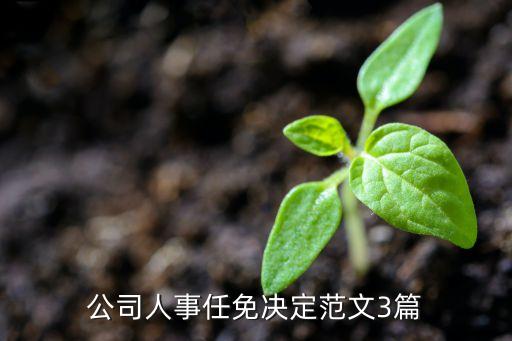 公司人事任免決定范文3篇